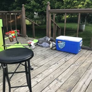 Meet your Posher, Curtis